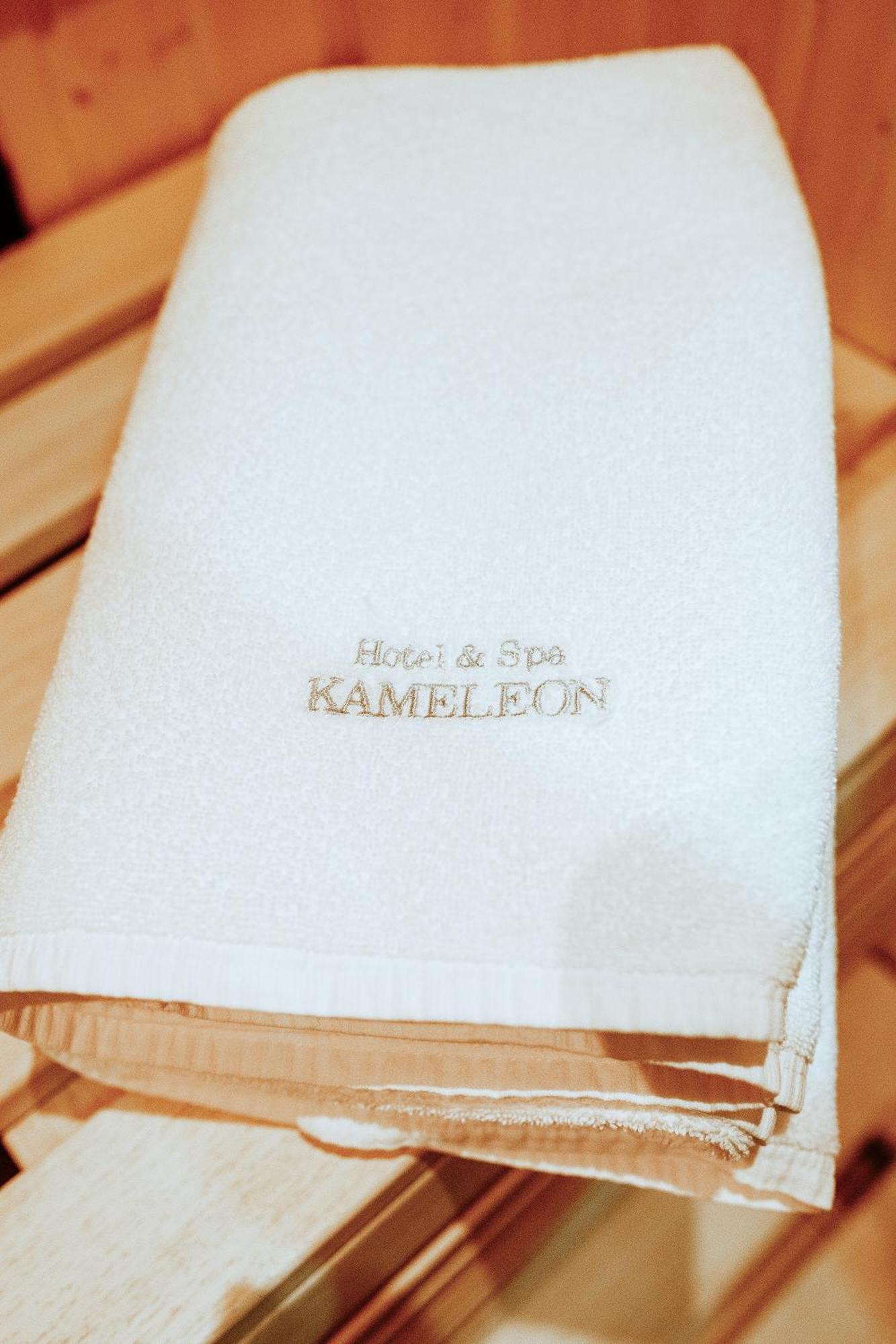 Hotel&spa Kameleon Hotel Żory